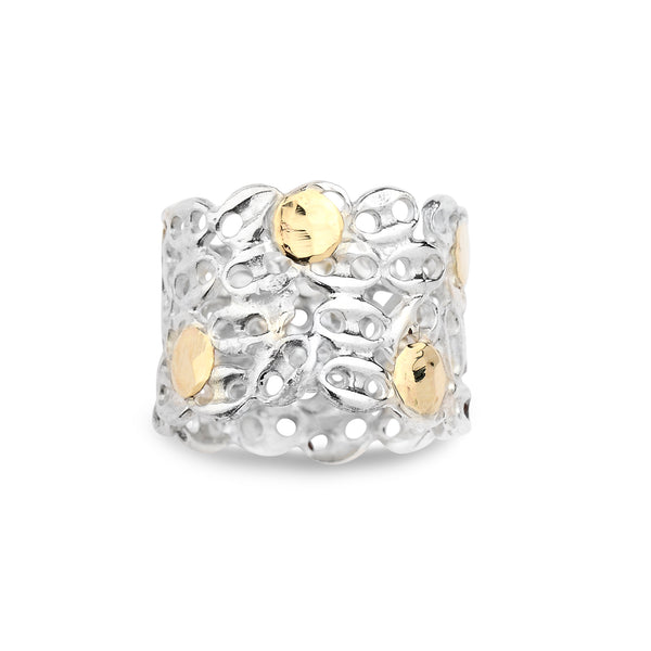 Silver & Gold Ring