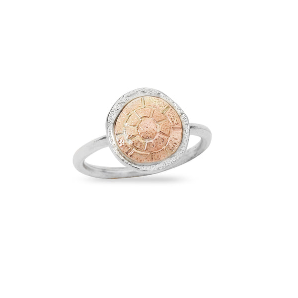 Silver & Gold Ring